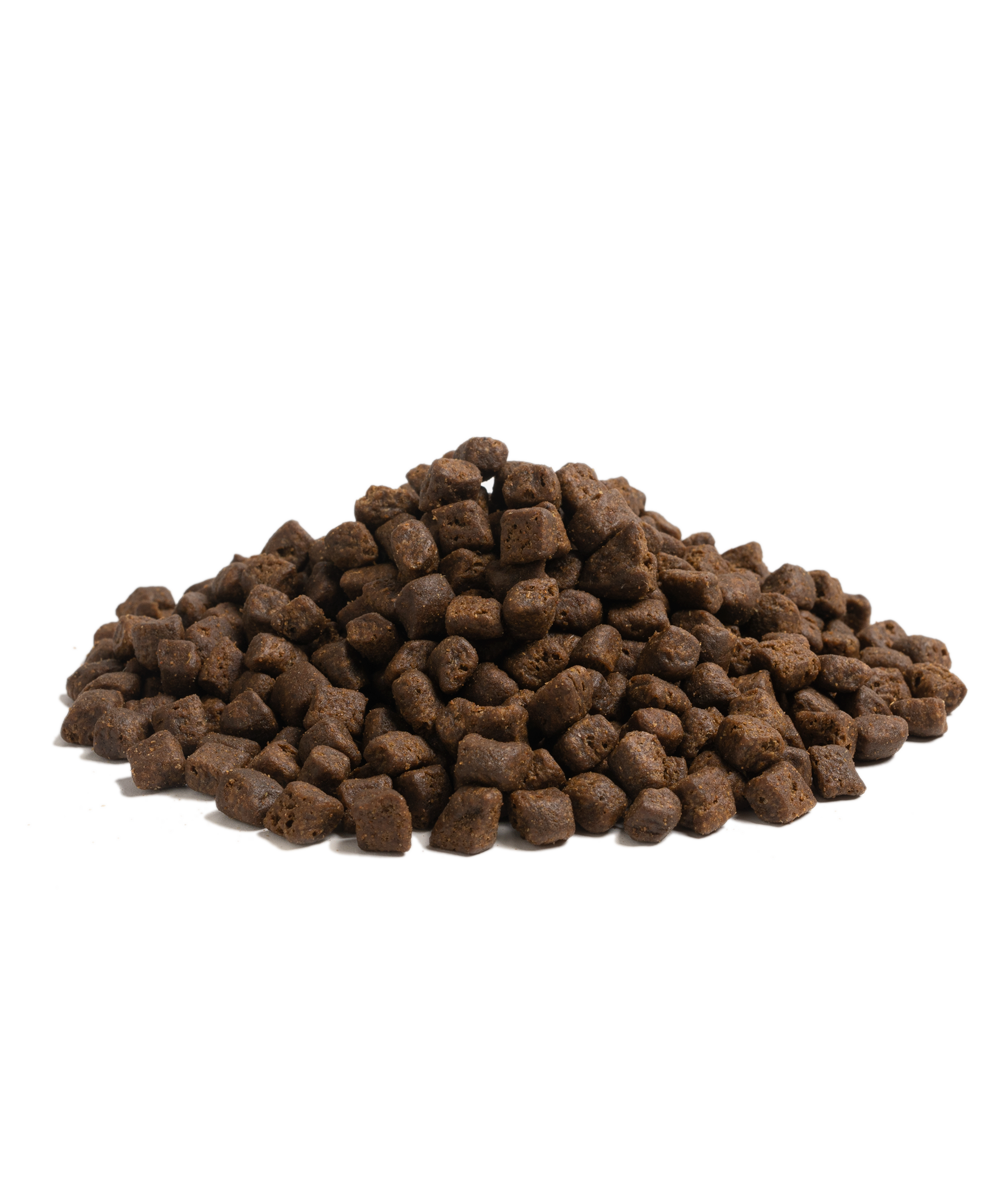 OUR FINEST BEGINNING SMALL BREED, 10KG