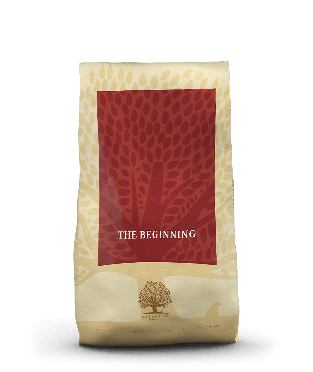 THE BEGINNING SMALL BREED, 10KG