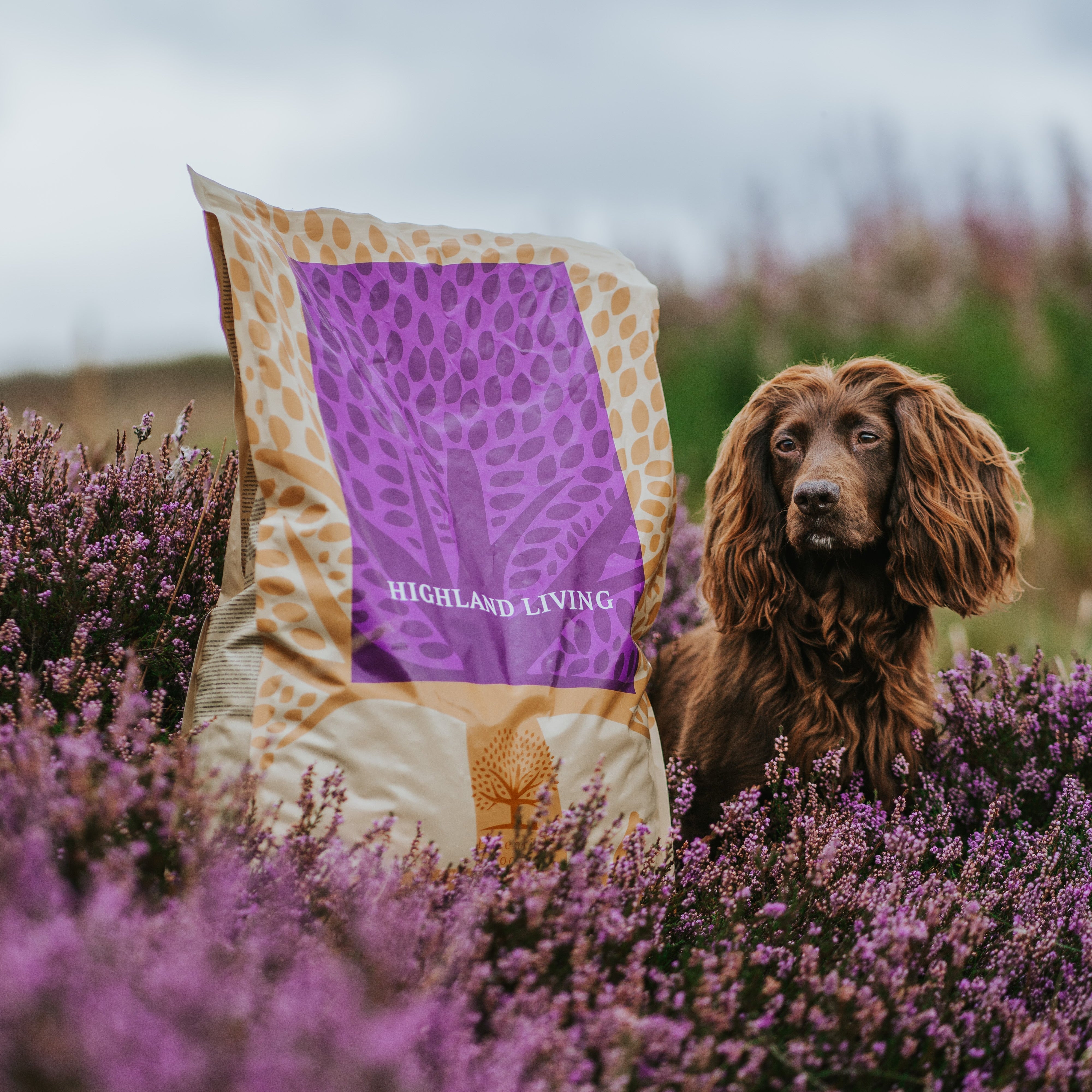 OUR FINEST HIGHLAND LIVING SMALL KIBBLES, 10KG