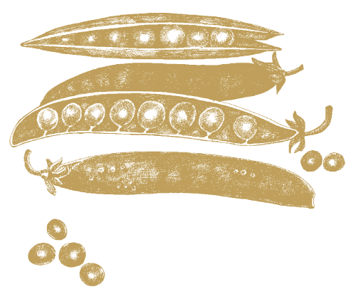 Erbsen
